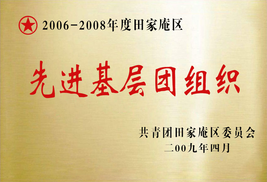 2006-2008年度田家庵區(qū)先進(jìn)基層團(tuán)組織